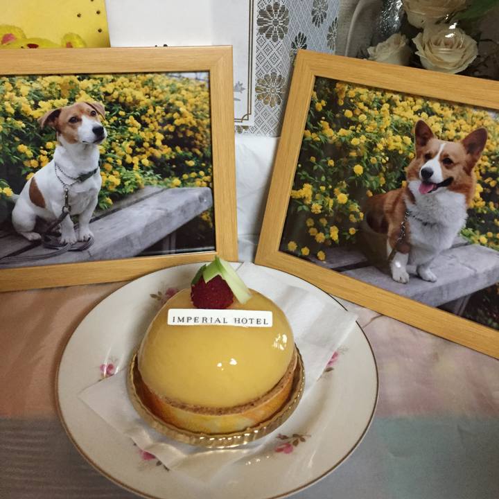 F7be11f2 c883 41ef 977a c250d77184c9