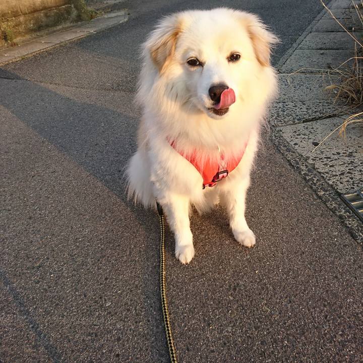 F7be15dc 4dad 4c2e 8ec0 199e911d6068