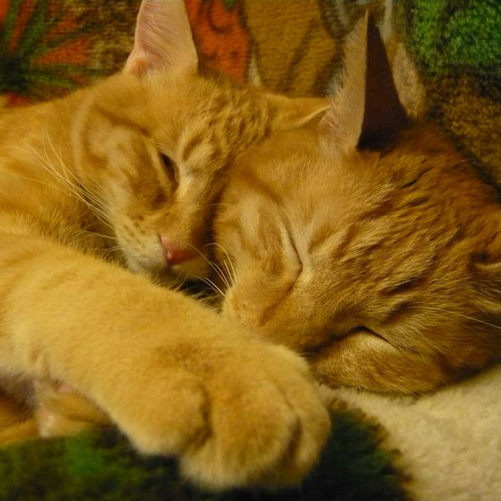 F7bef159 7e68 40a5 b061 cac0c0ecef9c