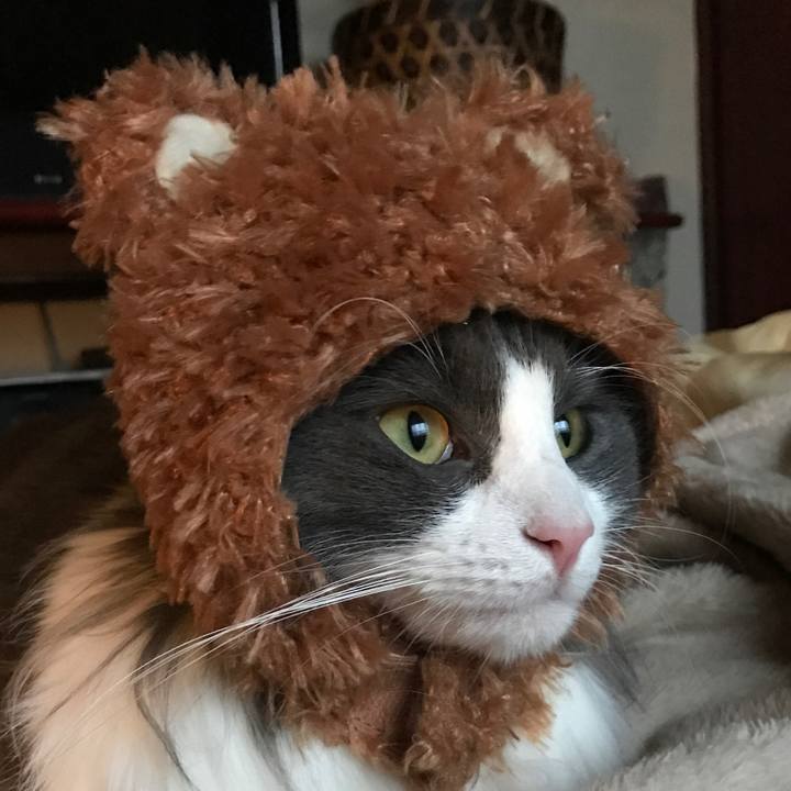 F7bef440 3772 4ca7 b879 a8b06d848f06