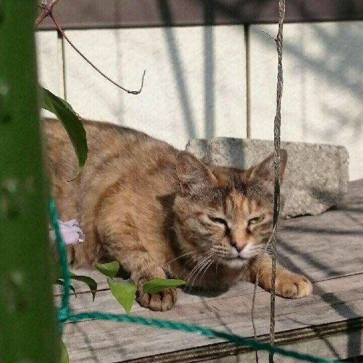 F7bf30b7 4811 429e 8dc8 e549b233d136