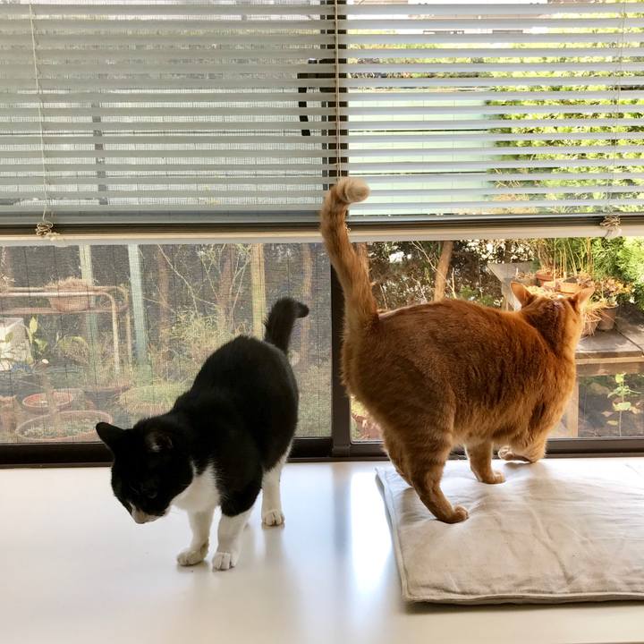 F7bf535b 0033 439f ba97 c4c3f5f6a33b