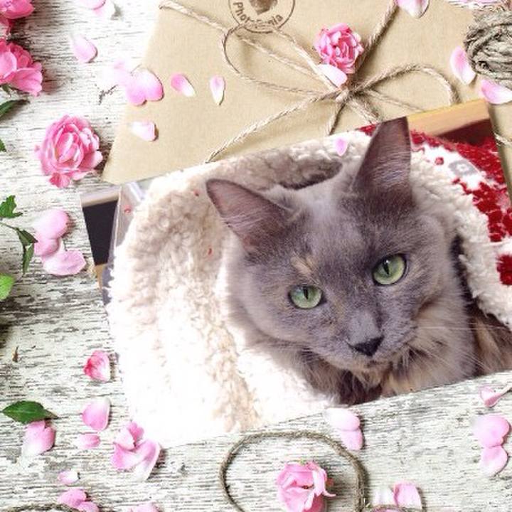 F7bf8c03 7983 4fa6 9469 4a11286a7103