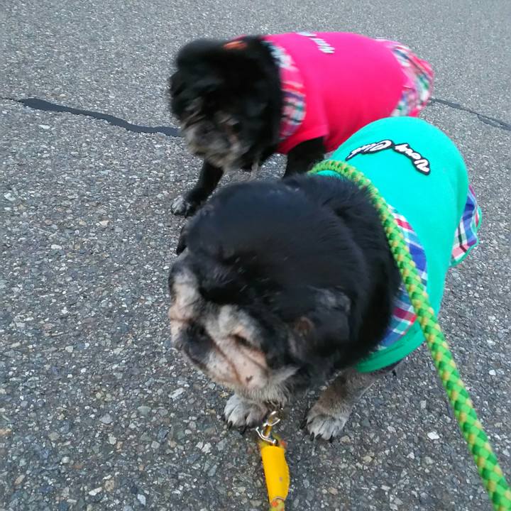 F7c03cd1 10c0 4294 9247 257009f2bfaa