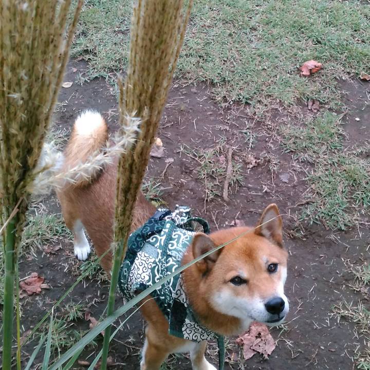 F7c06d51 31e6 4d38 a326 86eedd7f1b89