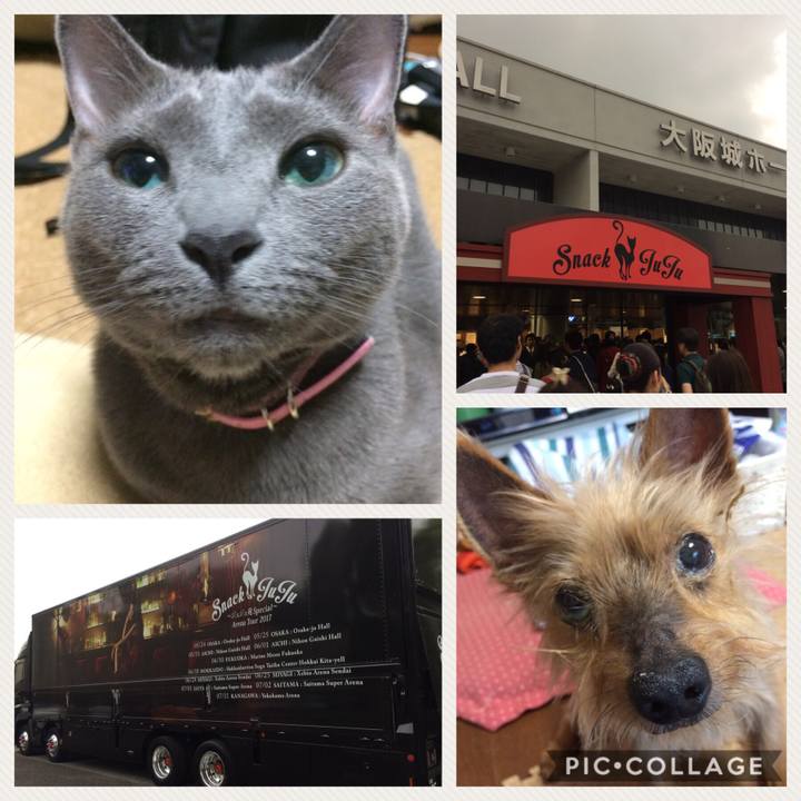 F7c0cfe9 8851 47b1 bd2d 31f670272ac9