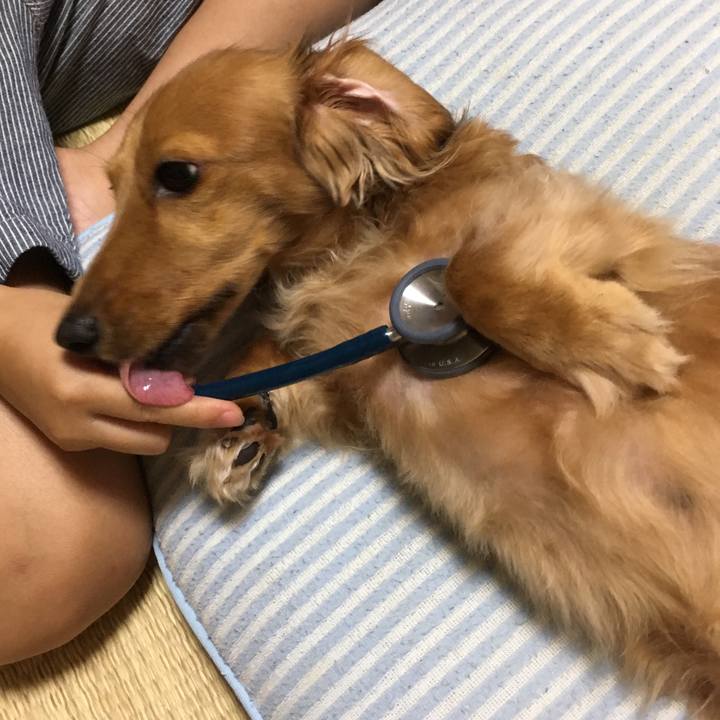 F7c10ff8 4b6d 4b4f bc19 97d8db01bb09