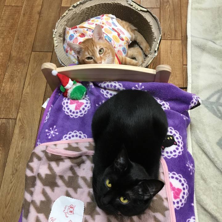 F7c12691 4ec9 4c51 9065 5e9436c4806b