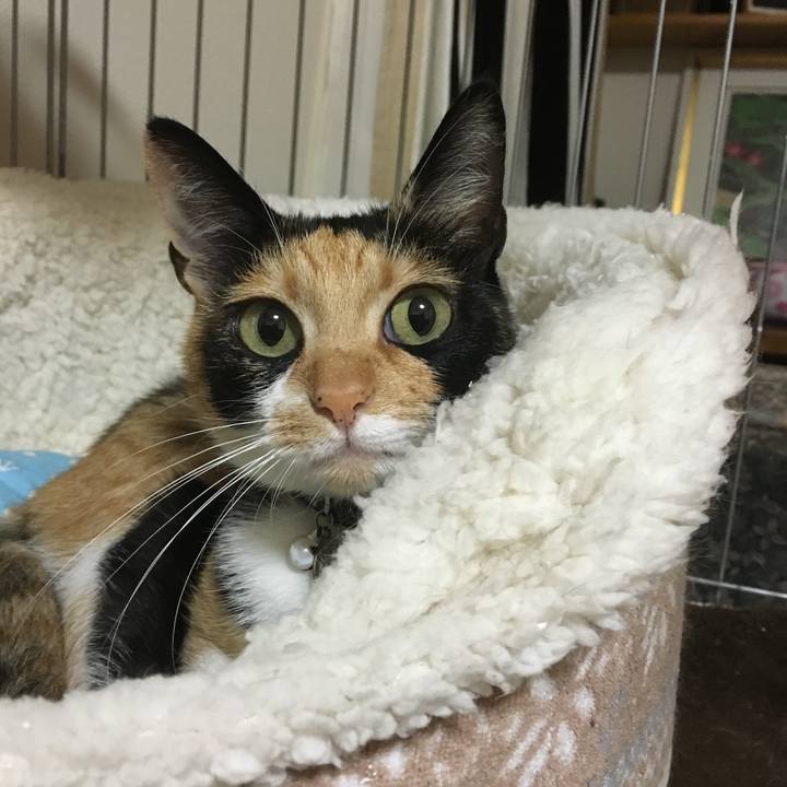 F7c140d7 7661 4cb3 88b8 711c50cda16d