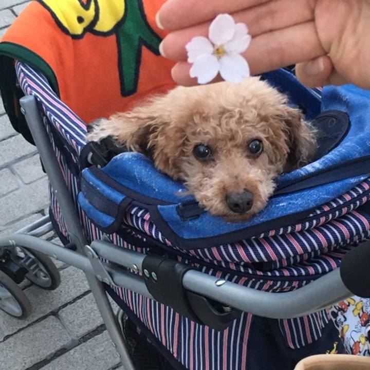 F7c1b556 d4a5 41f5 8025 369a8cfc6a9c