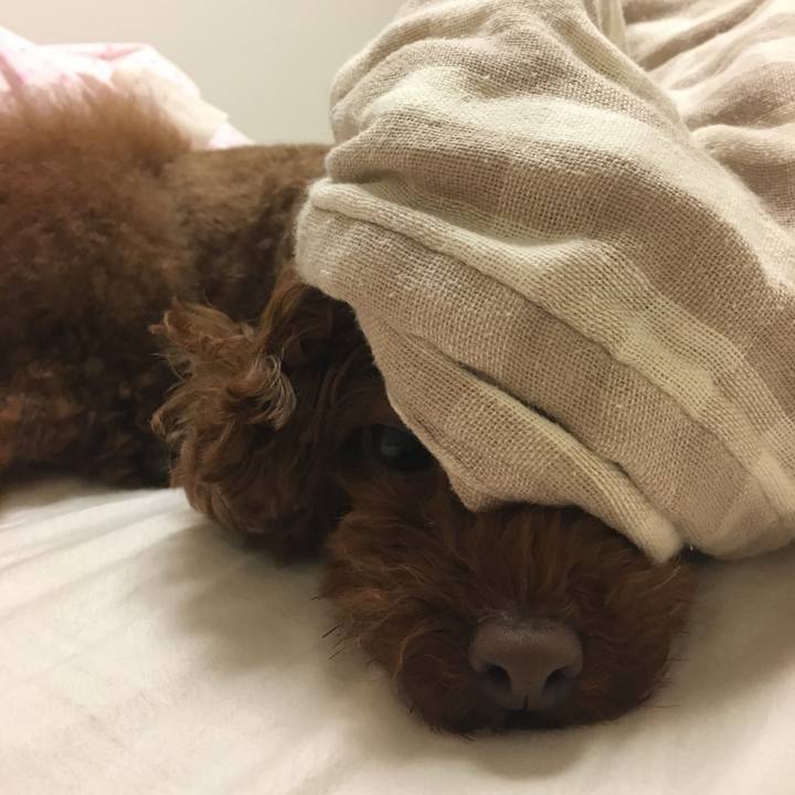 F7c1ccad da7b 4d16 91cc c02221a0fe79