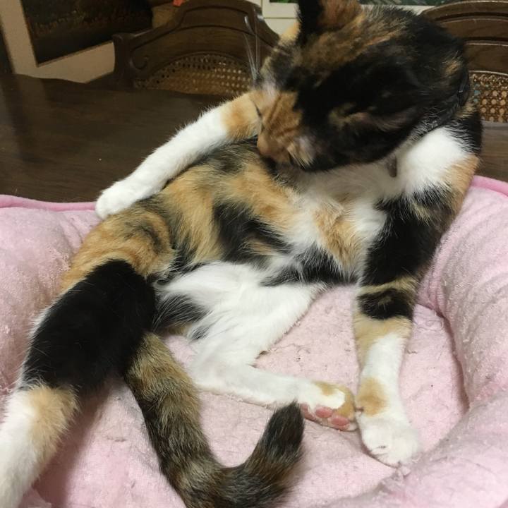 F7c1e693 4fc5 4c0c 8f82 e5c9d8c5bf2d