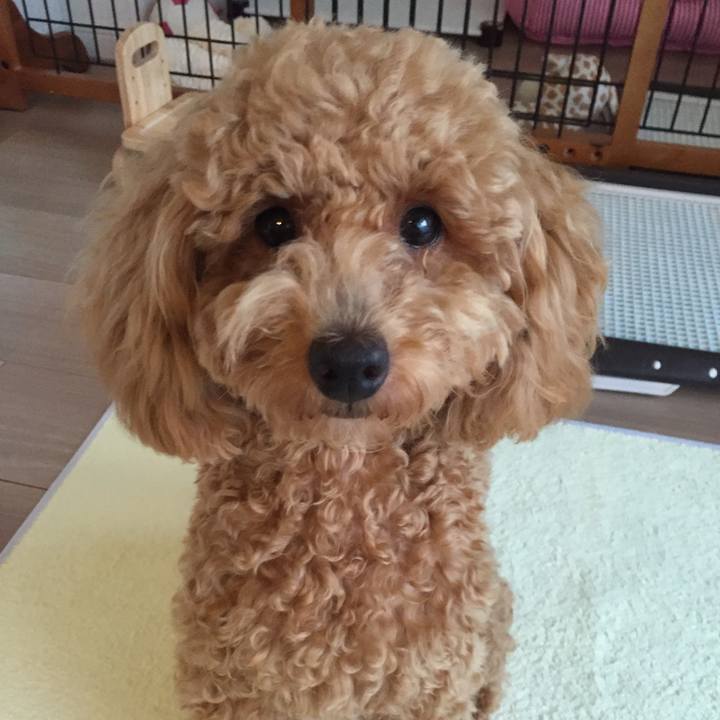 F7c1ebdf 3398 4969 bee2 9c0e7b9cea96