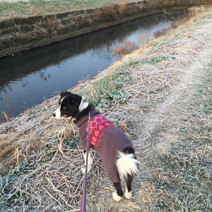 F7c21601 ed19 4796 9c1b 1f8b4a0f5939