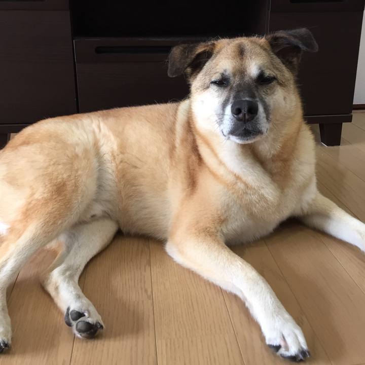 F7c35fce f1f3 4a25 a99e 11a3367e220a