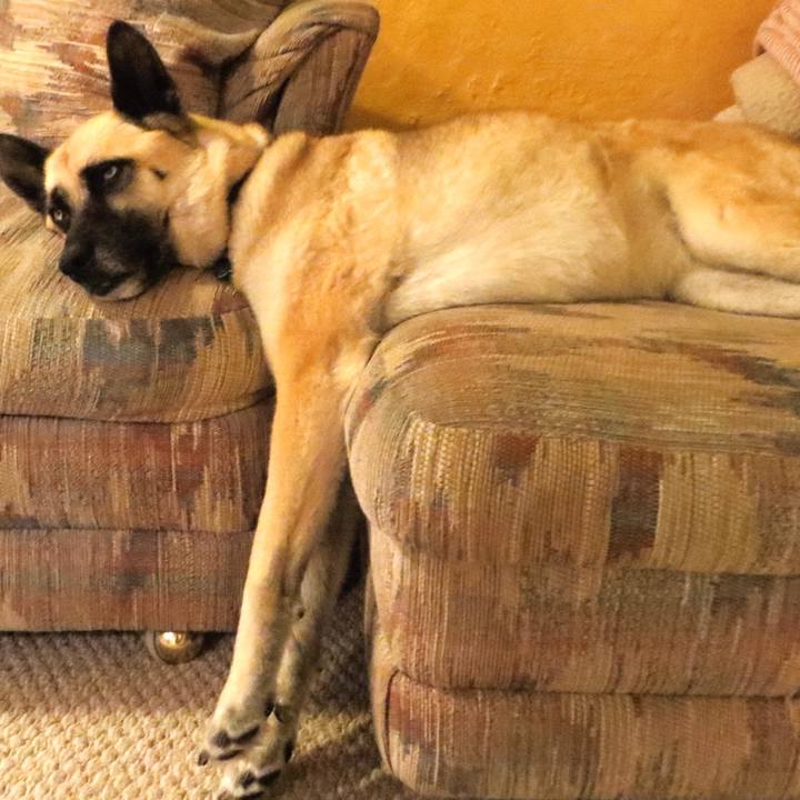 F7c38b97 dcc7 4fba 8db3 6b45e5755d60