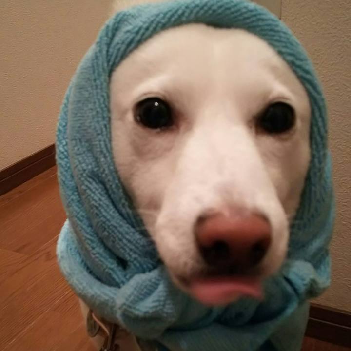 F7c40776 005e 4d7f bc96 c2bc47870bc0