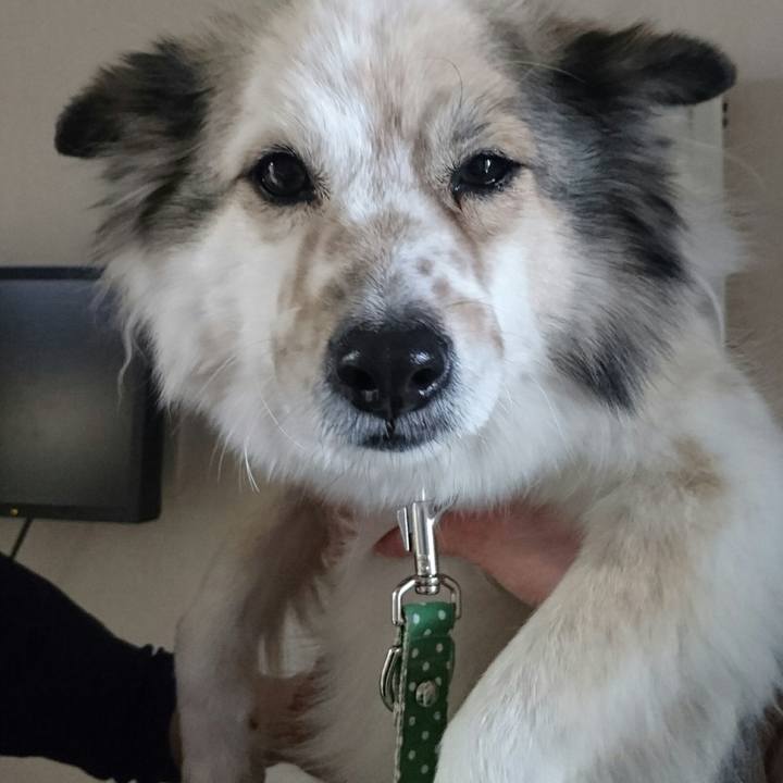 F7c42a63 7c46 4ede 8b40 8bccaabe50e4