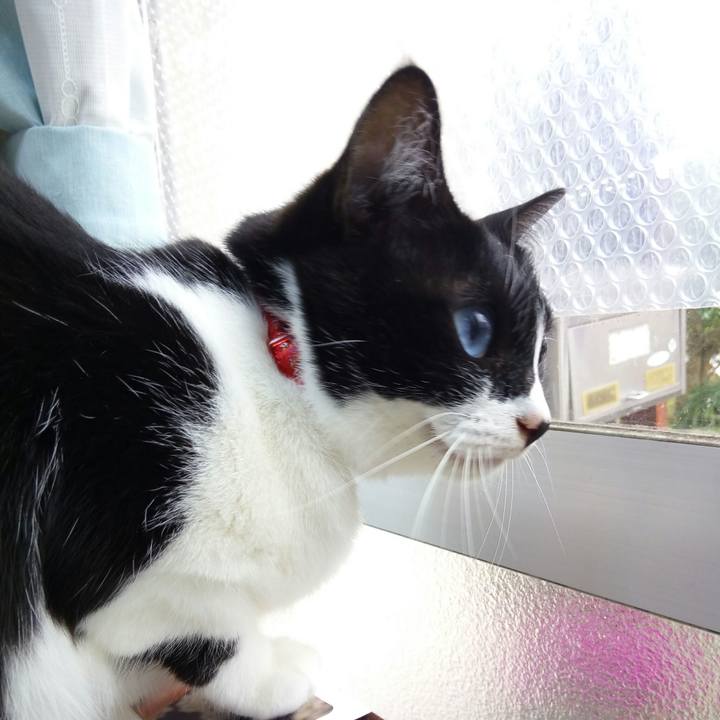 F7c42ff7 336b 4366 ab3a e01af7a30c81