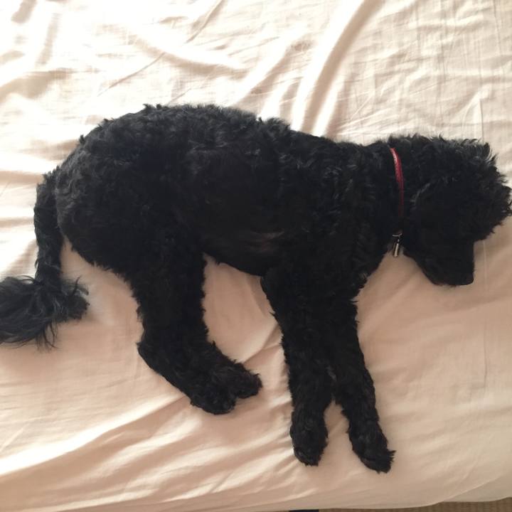 F7c49931 cb29 49de 92db 95cfe71b5573