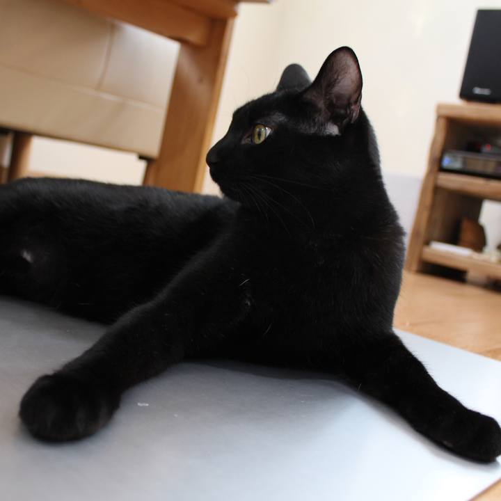 F7c53ba6 4138 4200 80e3 f61f4095fe25