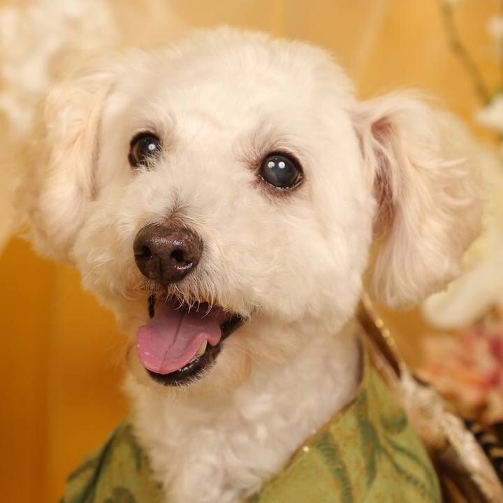 F7c56341 8a81 454e b22d ce89333b42ce