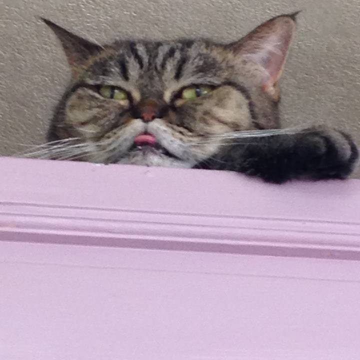 F7c67632 779b 4ad4 9acf 2f880655e076