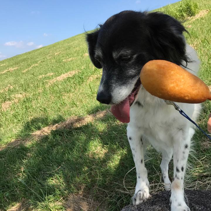 F7c6c60d b04a 4a2b 9953 588786a06089