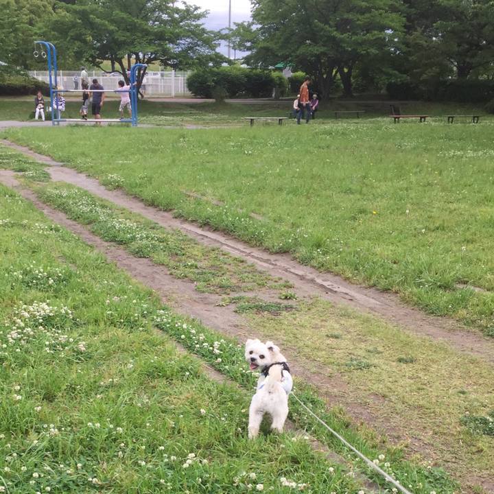 F7c75307 1b7a 4aa2 88e9 ca644cb60098