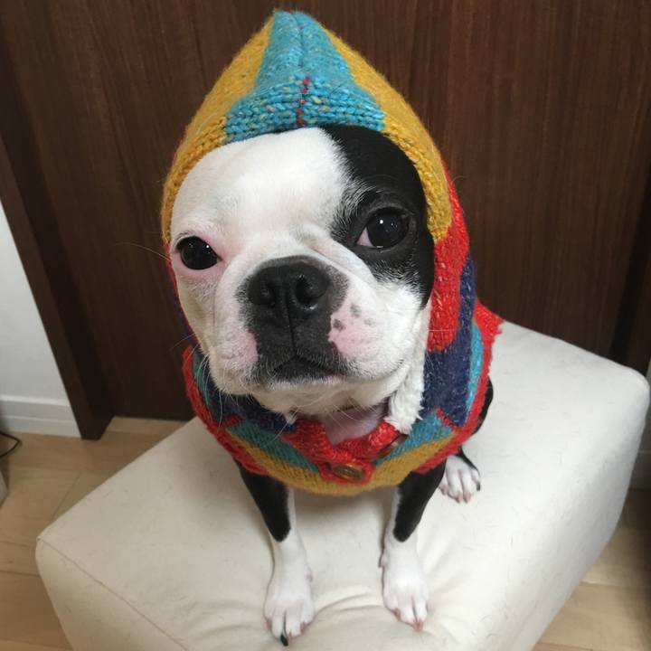 F7c77b55 a45b 4276 a953 0cfd90cdd0b9