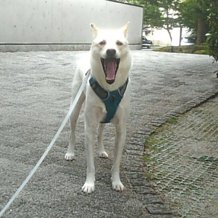 F7c7b65c 94c2 477b b297 cf17775eef1b