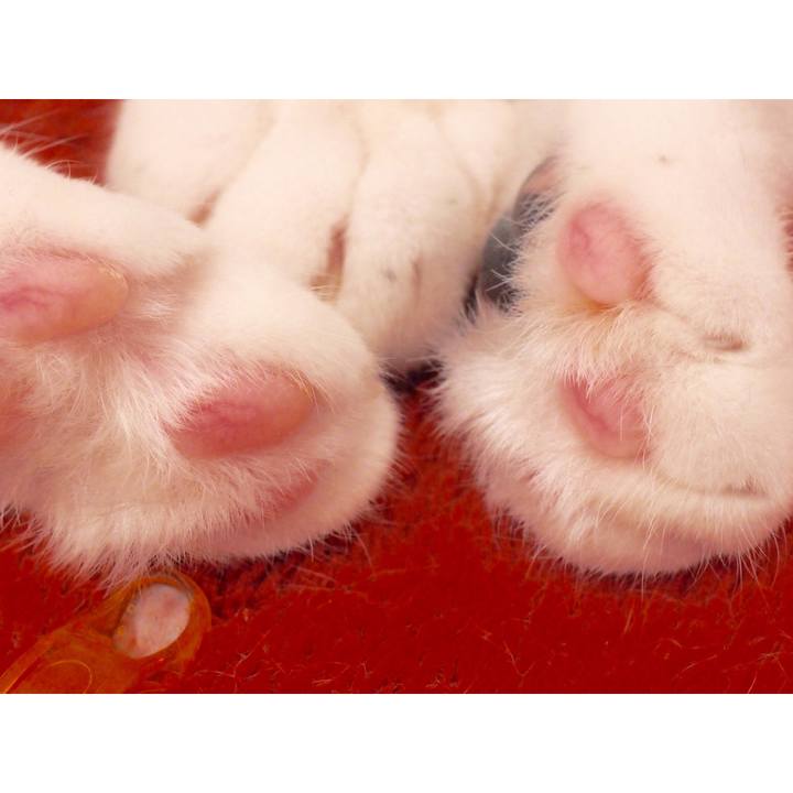 F7c7e55e 17c1 4a4a a721 c1ebb8e3c2d8