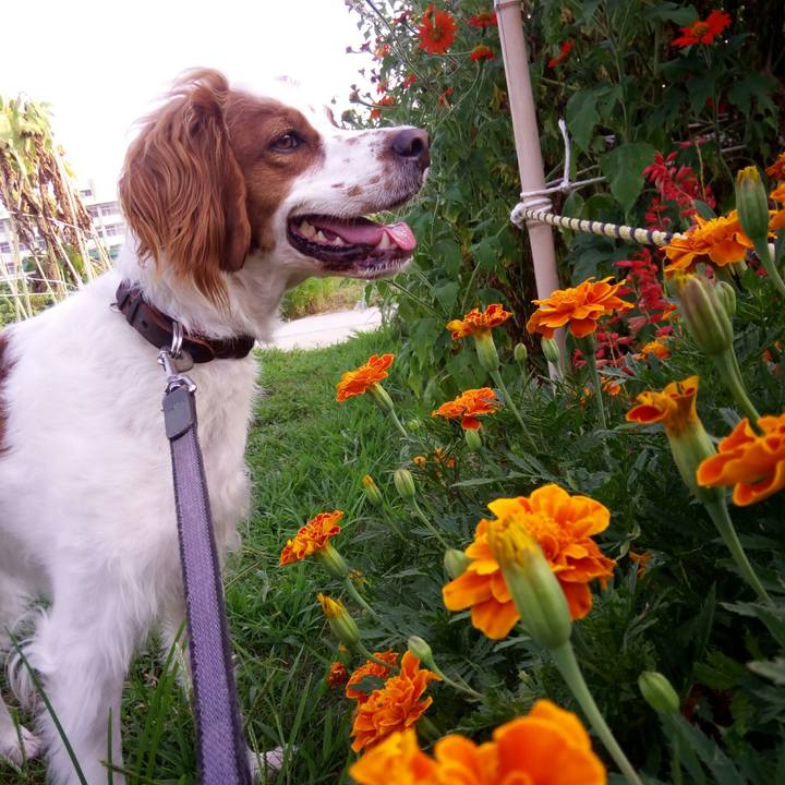 F7c8460b bec9 49a0 ab80 6b187984d2dd