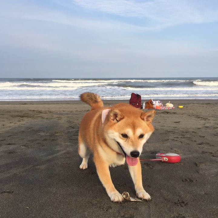 F7c8d7cb 4e1b 429e 92ff 7a6036ed9d35