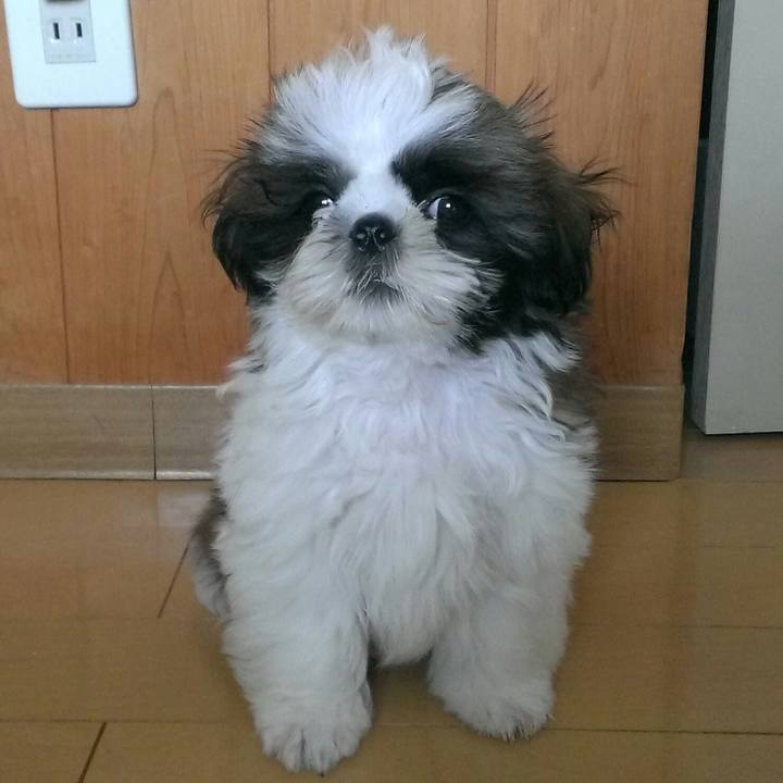 F7c93d3f 8b69 458c b7af b07b662da94c