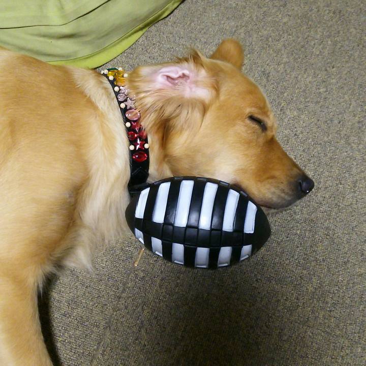 F7ca7363 d29a 4bab b484 6e762da649ef