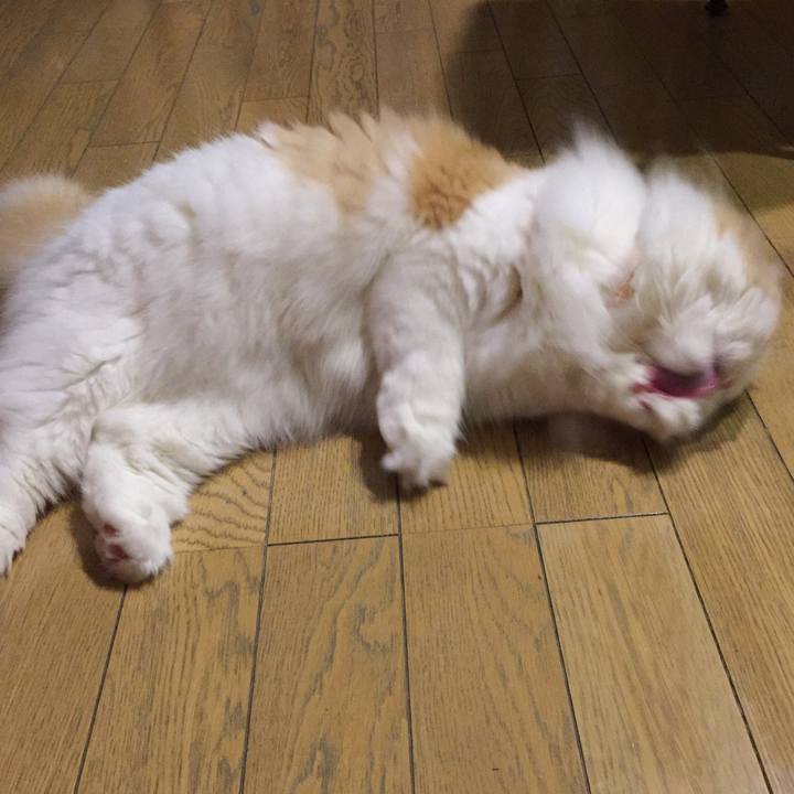 F7caa2a5 b347 4023 b022 a54217f7937a