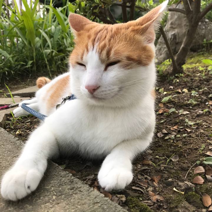 F7cafbad f55d 4638 9fd1 3a52b6a0beeb