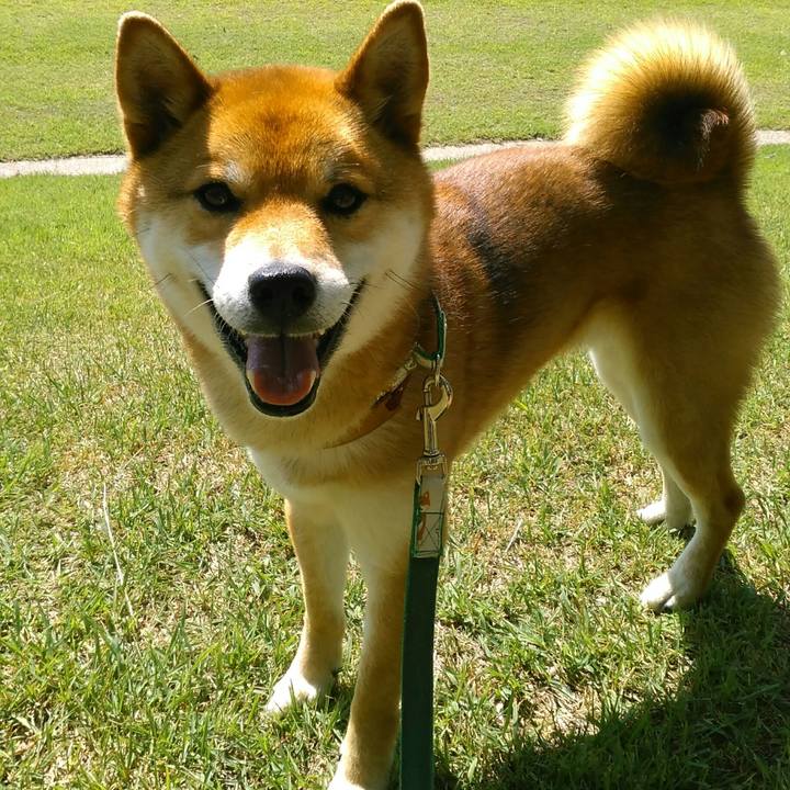 F7cb3075 f358 42cb 92e7 d32a861afaf7