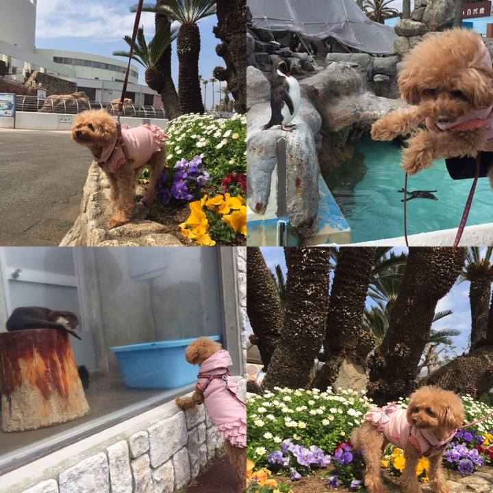 F7cc5b13 6f09 45d1 aea9 fc4dccf693cf