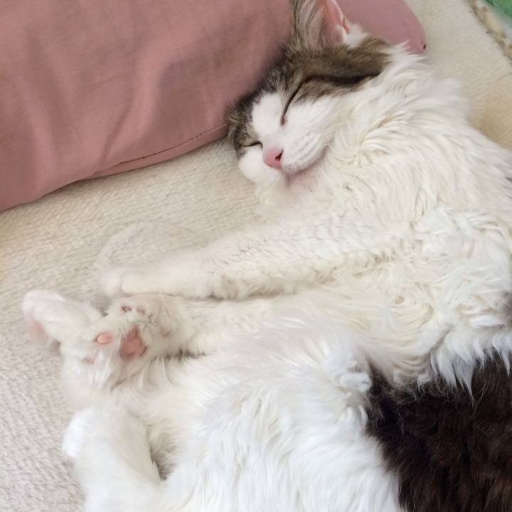 F7cd02af 3a65 489f b8fd 4c8e5962f91d