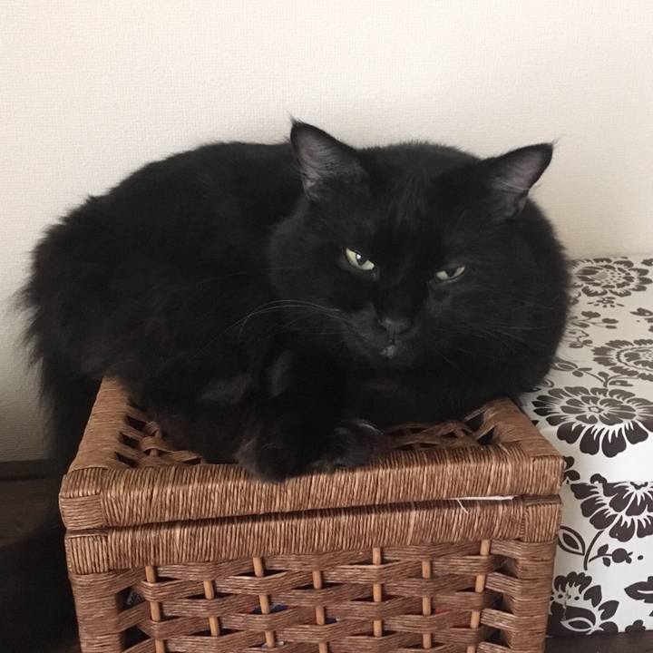 F7cd8ff8 4944 4603 90b7 2994db515463