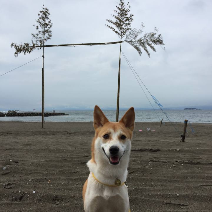 F7ce468b d5e8 4da5 a2f1 409a163df62a