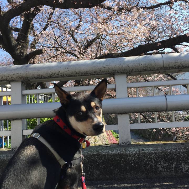 F7ce65e2 5e8a 478c 9072 79393e095a63