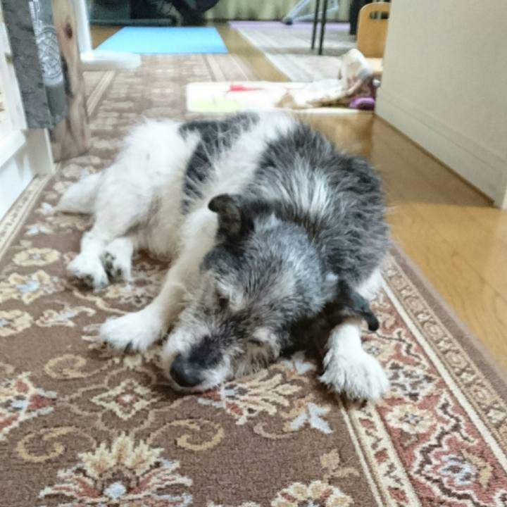 F7ce79af faf3 4326 b7ee 3931efc5257b