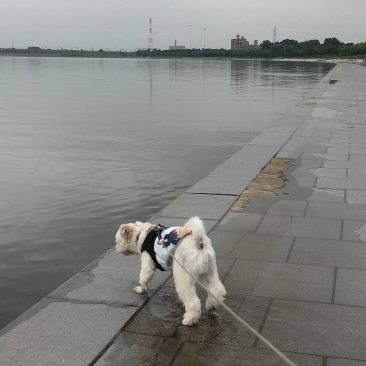 F7cec6ab 71ab 4261 b1c8 964413a46637