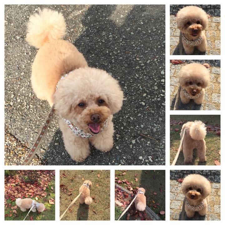 F7cf05eb d53e 4b09 b727 6695feb3240e