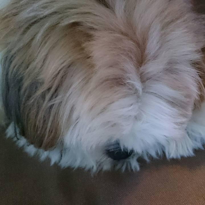 F7cf18c9 1699 4bec 9e1d fcc84a31e602