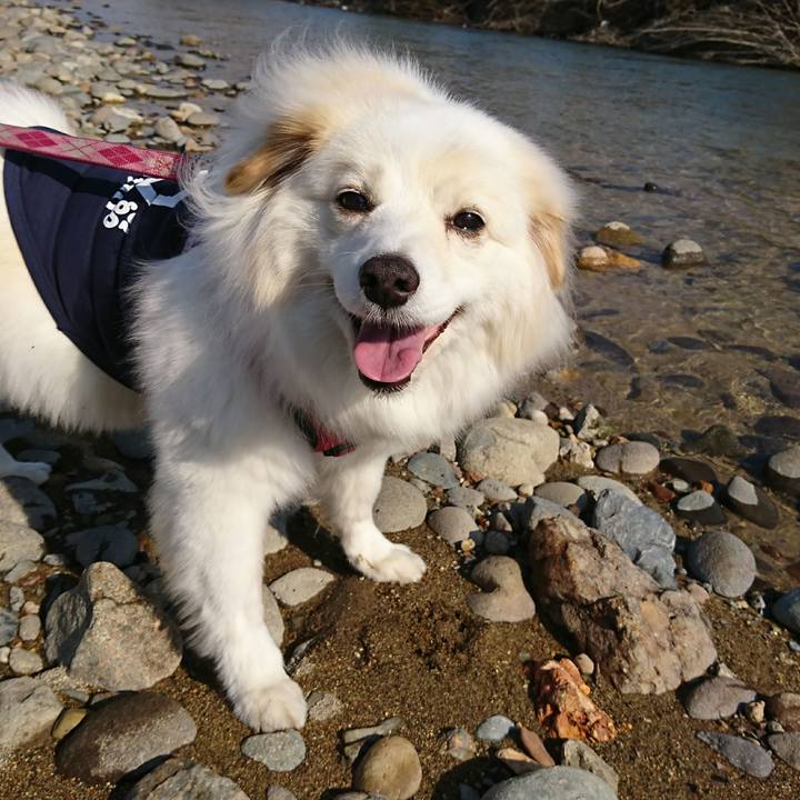 F7cf99b6 81da 4440 b53d 917db16ea217