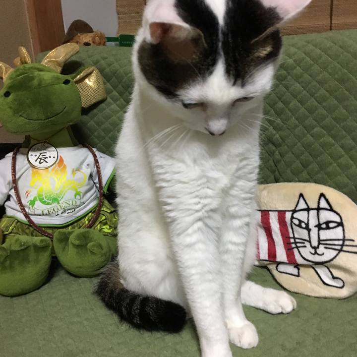 F7d00a68 5c9e 45bd 9324 7a93db57b88f